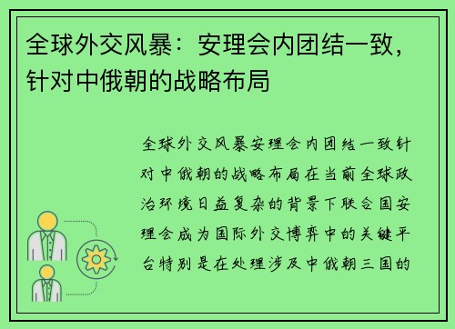 全球外交风暴：安理会内团结一致，针对中俄朝的战略布局